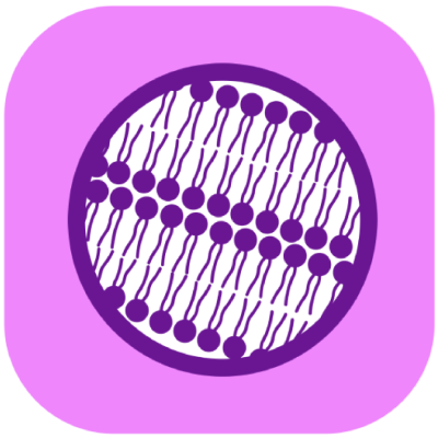 Bilayers